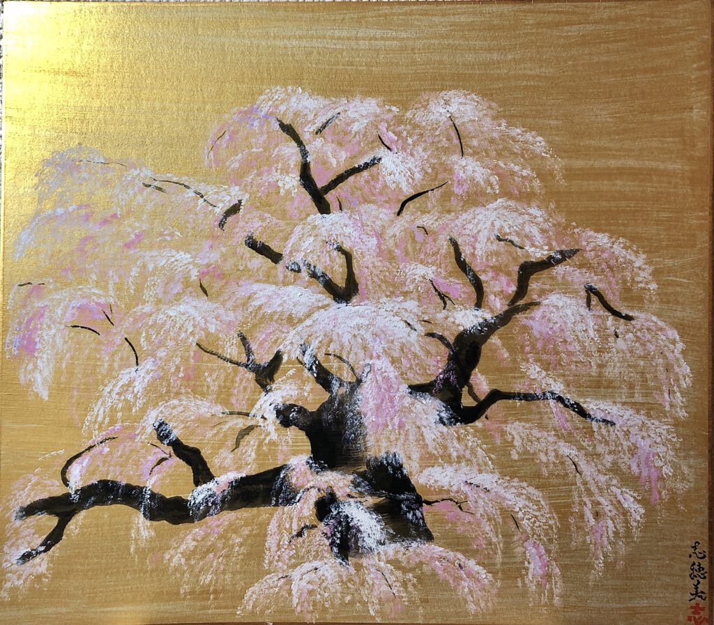 Japanese painting art Sakura cherry blossoms