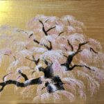 Japanese painting art Sakura cherry blossoms